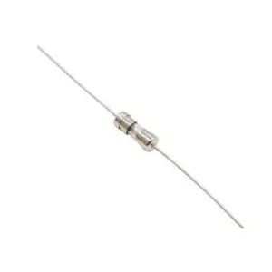2A 3.6x10mm Gecikmeli Cam Sigorta