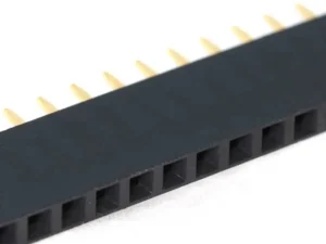 40 Pin Dişi Header